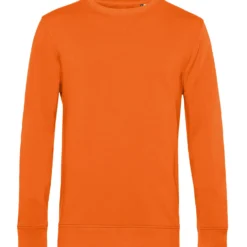 B&C Inspire Crew Neck -Sol's Clothing Store 0b53179935068c6051c30be556fec0e84c8fb49a97837a0bfd51c10b0e01c71b