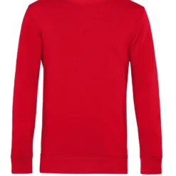 B&C Inspire Crew Neck -Sol's Clothing Store 3b14681452b2eeb2b4befecbeebed02d497d390e92946d2b542b0ea537ae0be7