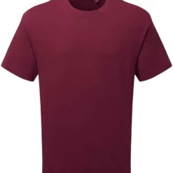 Anthem Organic Heavyweight T Shirt -Sol's Clothing Store 7cf758424f33538497a6b2b9936812be8aa0a31e731e27b4e70ba8f8cffb1917