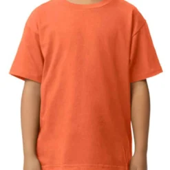 Gildan Softstyle Midweight Youth T-Shirt -Sol's Clothing Store 81f39b2936dfd978bbf5bb96678f6bb68949e2163164a6f429593ac5b28786fb