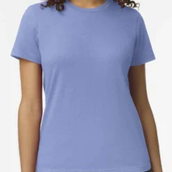 Gildan Softstyle Midweight Womens T-Shirt -Sol's Clothing Store 8708f8cef9887832ef8084eeb78c246a8dad9e66c4fff5a301362b05bfc7d516