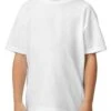 Gildan Softstyle Midweight Youth T-Shirt