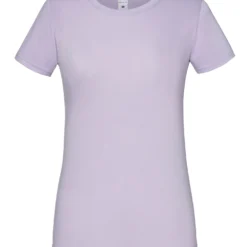Fruit Of The Loom Ladies' Iconic 150 T -Sol's Clothing Store dac1c3fc6287d7e1d02cf557549362458f61dbc95d228ef2581abf2fbe3b5d50