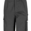 Result Work-Guard Action Shorts